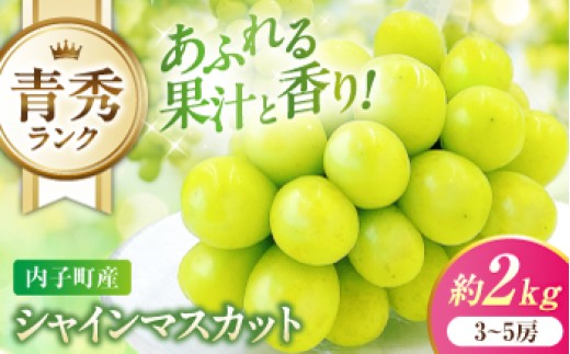 シャインマスカット 【先行予約】 青秀 3～5房 約2kg ＜2026年8月下旬～発送開始＞ ／ シャインマスカット しゃいんますかっと シャイン マスカット ますかっと Shine Muscat 秀品 3～5房 皮ごと 葡萄 ブドウ ぶどう 旬 新鮮 フルーツ ふるーつ fruit 果物 くだもの 果実 人気 愛媛県 愛媛県産 内子町産 国産 【株式会社フジ・アグリフーズ】 [BKAY005]