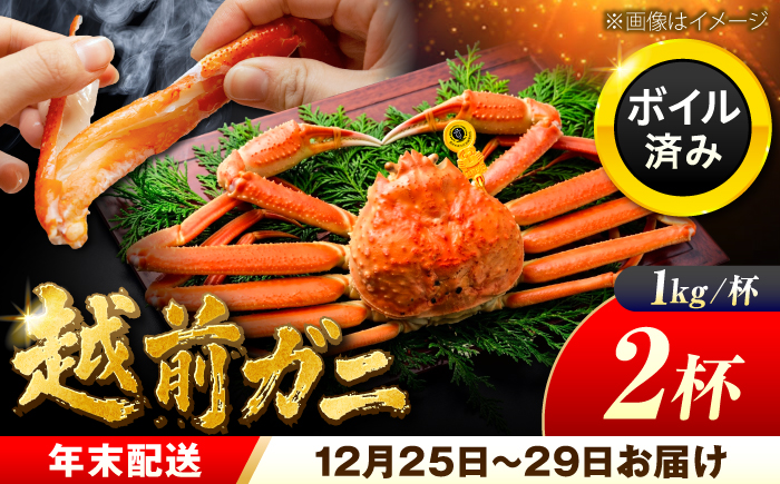 【先行予約/12月25日より順次発送】【年末希望】越前がに 1kg×2杯 ズワイガニ ずわいがに ボイル 冷蔵 小浜市 / まるほ商店 【配送不可地域：北海道・沖縄・離島】[BFCS046]