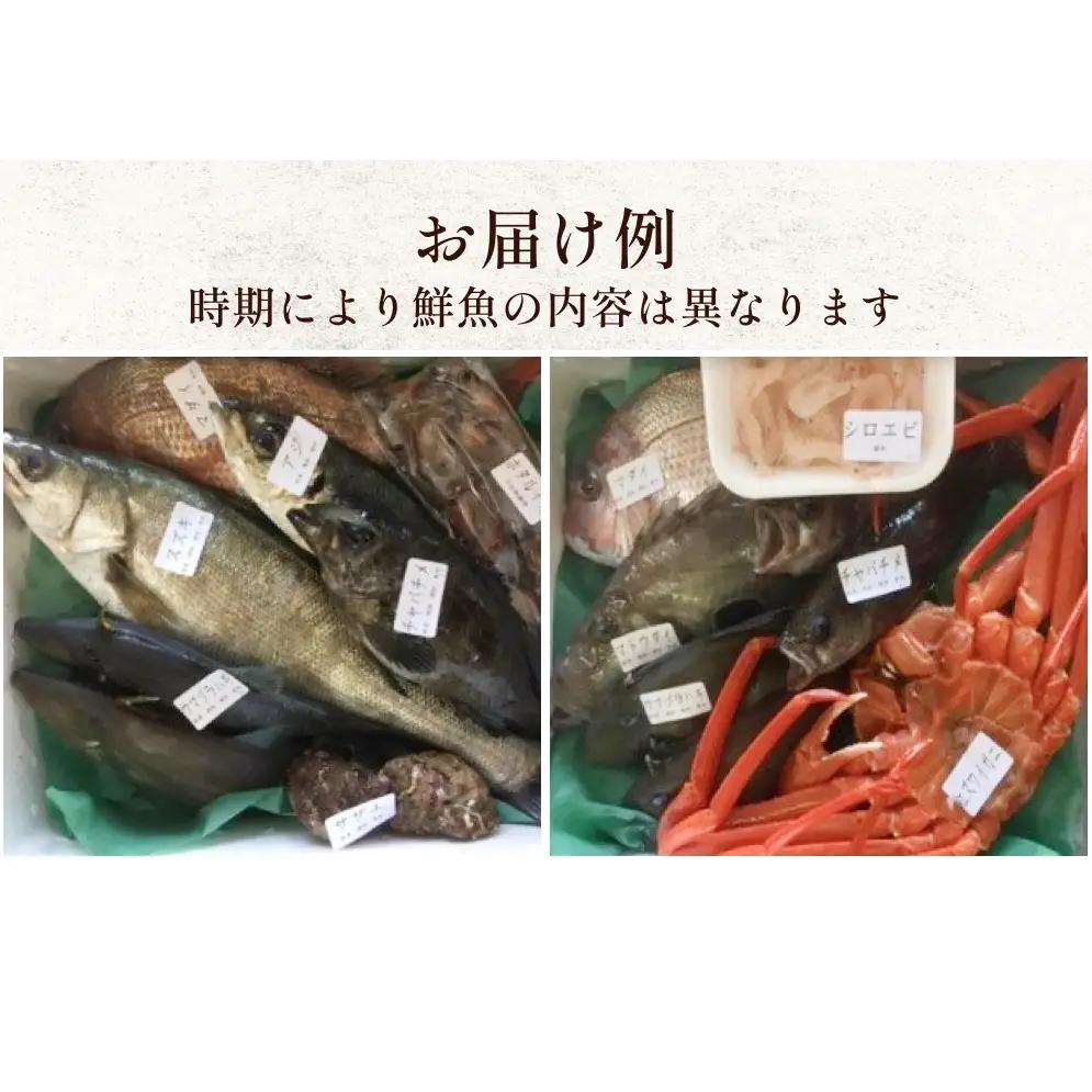 【定期便12ヶ月 】天然のいけす 富山湾 氷見漁港 旬の鮮魚セット 直送 詰め合わせ 鮮魚ボックス 富山県 氷見市
