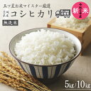 【ふるさと納税】【 6ヶ月 連続配送 定期便 】《 令和6年産 》 茨城県産 無洗米 コシヒカリ ＼選べる内容量／ 5kg 10kg こしひかり 米 コメ こめ 五ツ星 高品質 白米 精米 時短 新米