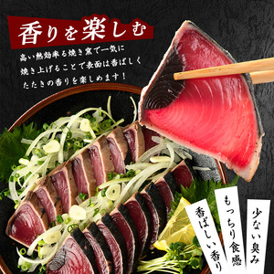 全３回定期便･隔月お届け カツオ好きのための堪能定期便 指宿食品 IBZ026-004 定期便 定期便