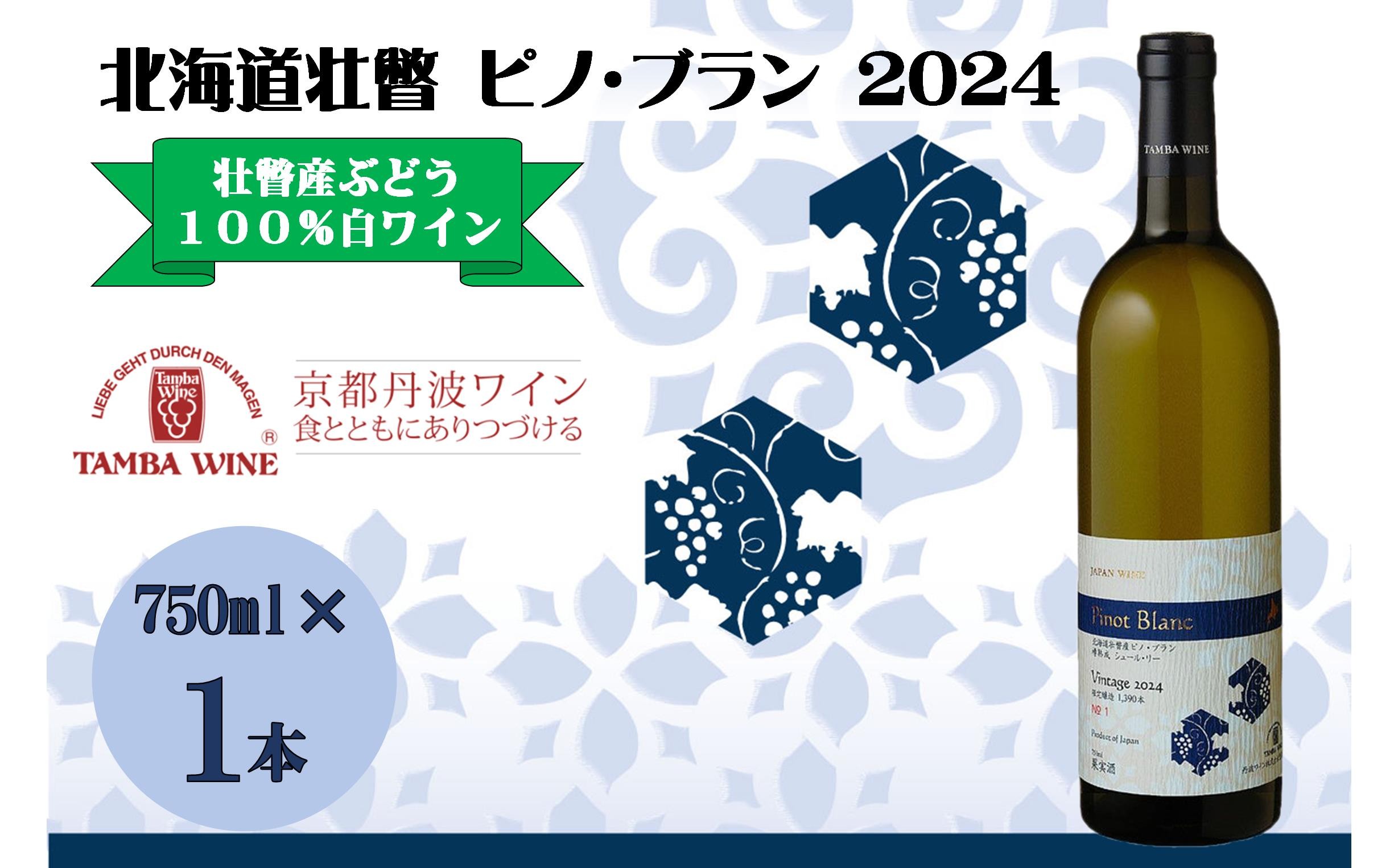 
                  北海道壮瞥産 ピノ・ブラン2024(辛口白ワイン) 750ml 【 ふるさと納税 人気 おすすめ ランキング 北海道 壮瞥 ワイン  ピノ・ブラン ぶどう 葡萄 酒 白 辛口 贈り物 贈物 贈答 ギフト 大容量 詰合せ セット 北海道 壮瞥町 送料無料 】 SBTA084
                