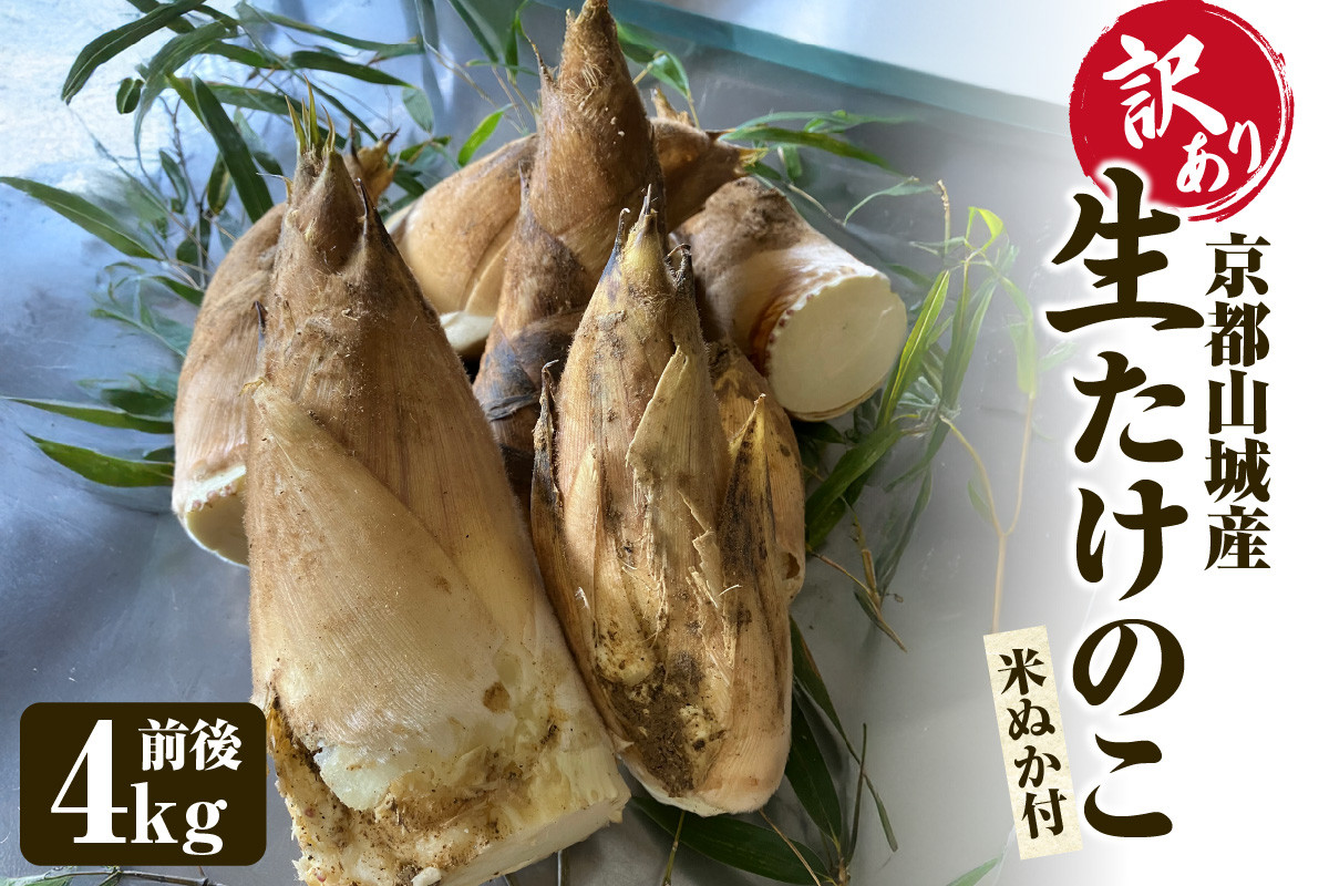 
                  京都山城産生たけのこ （訳あり・ご家庭用） 4kg前後 白子たけのこ たけのこ タケノコ 筍 竹の子 柔らかい 農家直送【016-03】
                
