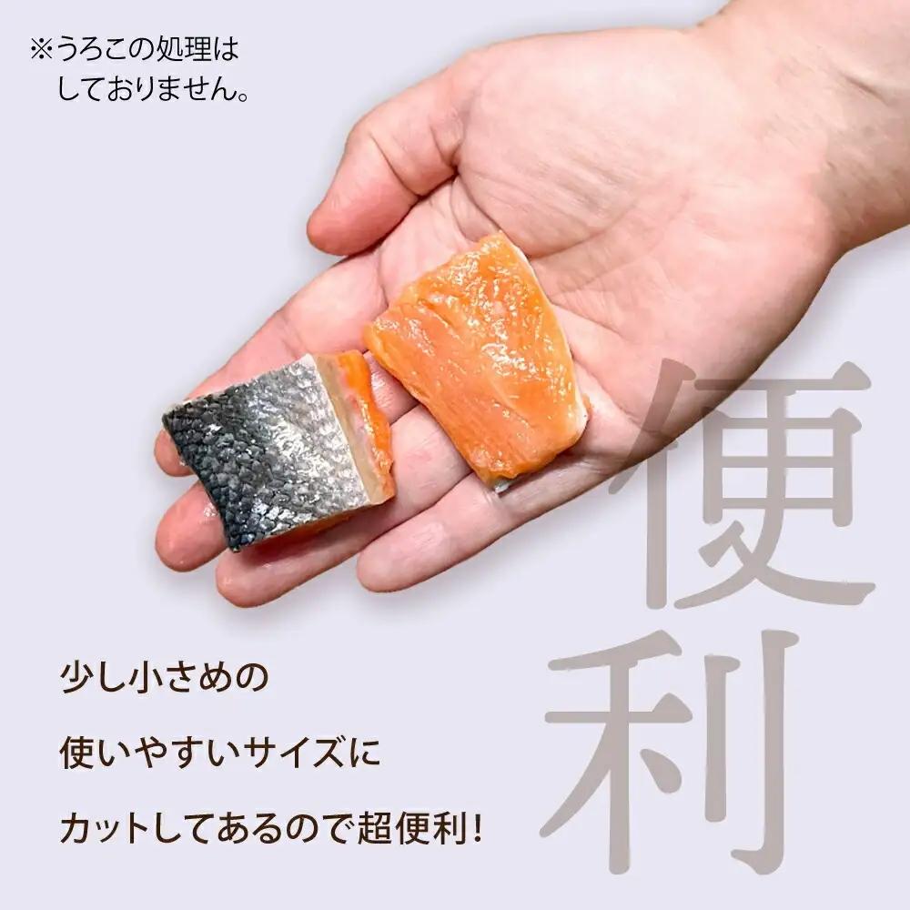 訳あり ゴロゴロ銀鮭 切り落とし 1.5kg ×2箱 (計3kg) FN-Limited-VO