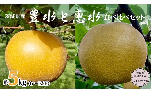 
                  豊水 ・ 恵水 食べ比べ セット 約 5kg (茨城県共通返礼品 かすみがうら市) 産地直送 久保田果樹園 フルーツ 甘い 直送 茨城 限定 ギフト 梨 果物 [DH016sa]
                