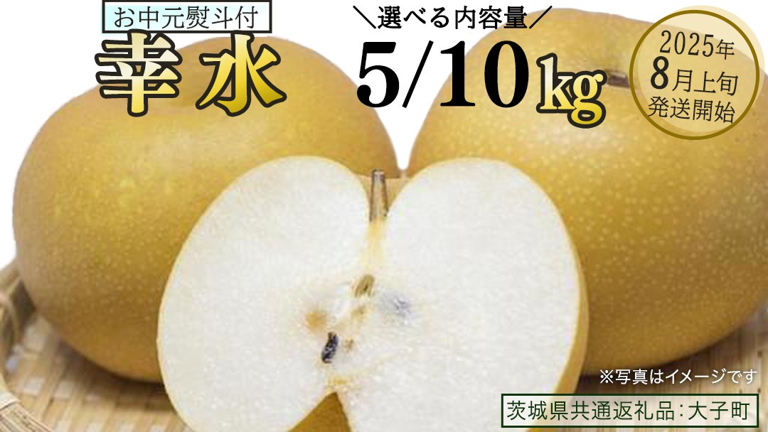
            《 選べる 内容量 》《 お中元 熨斗付き 》 幸水 約5kg / 約10kg 【2025年8月上旬発送開始】(茨城県共通返礼品：大子町) 梨 なし 果物 くだもの フルーツ
          