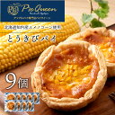 【ふるさと納税】北海道知内町 橋本農園産ユメノコーンのとうきびパイ9個入 パイ スイーツ トウモロコシ とうもろこし コーン 冷凍 北海道 キッシュ タルト パイ生地知内町 ふるさと納税 北海道ふるさと納税