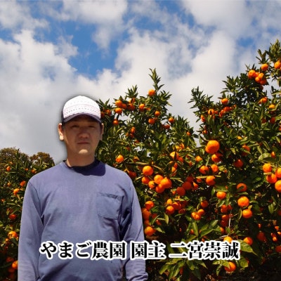 濃厚!やまご農園の「あけぼの小玉」約6kg【C39−21】【配送不可地域：離島・北海道・沖縄県】【1148837】