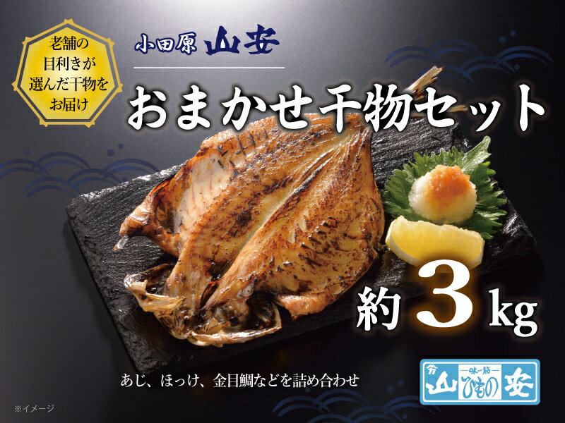 【ふるさと納税】【 小田原 山安 】 おまかせ干物セット 約3kg 【 縞ほっけ開き干し 金目鯛開き干し 真あじ開き干し 赤魚開き干し さば半身干し かます開き干し 干物 大容量 詰合せ 神奈川県 小田原市 】