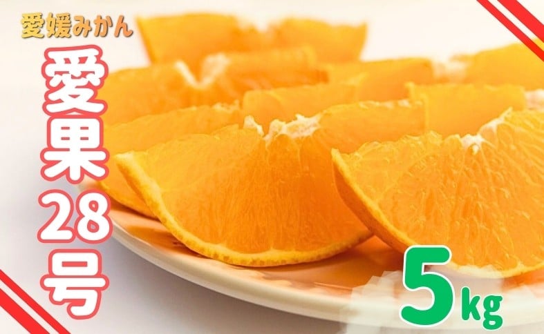 
                  みかん 愛媛 愛果28号 紅まどんなと同一品種 5kg 家庭用 人気 数量限定 先行予約 柑橘 伊予市【2026年11月下旬以降順次発送】｜C120
                