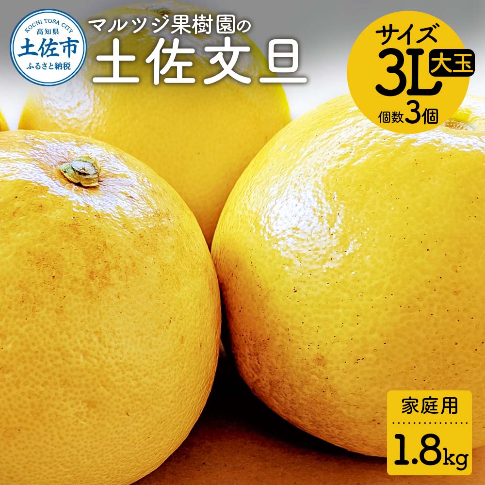 マルツジ果樹園の土佐文旦 家庭用(大玉) 約1.8kg 1.8キロ 3Lサイズ 3個入り ぶんたん ブンタン フルーツ 柑橘 みかん 果物 くだもの 柑橘類 デザート ご自宅用 ご家庭用 お取り寄せ 国産