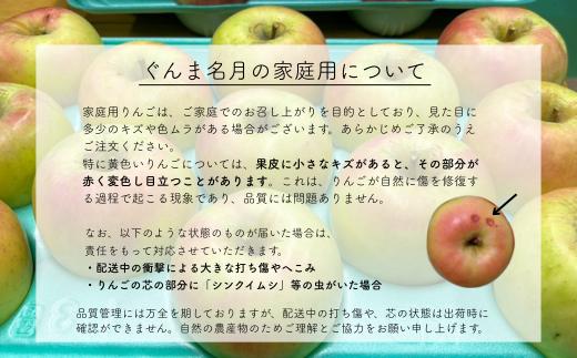 KR13 ぐんま名月 家庭用 約5kg（10～16玉） 長野県松川町産／11月上旬頃～配送予定//長野県 南信州 リンゴ 林檎 名月 訳あり 自家用 農家直送 農家支援 産地直送