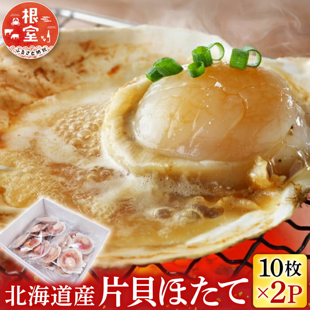 【ふるさと納税】片貝ほたて 10 枚 × 2P ホタテ ほたて 帆立 帆立貝柱 ほたて貝柱 貝柱 ホタテ貝柱 殻付き 炉端焼き お取り寄せ グルメ 北海道 根室市 ふるさと納税 A-11121
