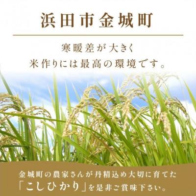 ふるさと納税 浜田市 【毎月定期便】浜田市金城町産こしひかり　5kg全6回 |  | 01