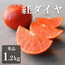 【ふるさと納税】こだわり蜜柑 紅ダイヤ 厳選プレミアム M~2Lサイズ 約1.2kg みかん 紅ダイヤ ミカン mikan 柑橘 柑橘類 フルーツ 果物 詰め合わせ 愛知県 豊橋市 15000円