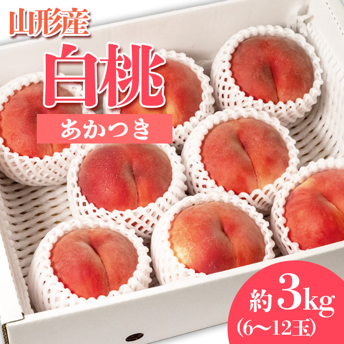 やまがたの桃(白桃) あかつき 秀品 約3kg(6～12玉程度) 【令和8年産先行予約】FS23-810