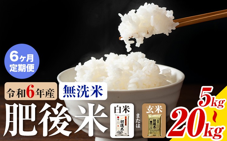 
            【6ヶ月定期便】熊本県産 肥後米 無洗米 白米 玄米 5kg/10kg/20kg 選べる内容量 1袋5kg 米 お米 令和6年産 九州産 熊本県産  送料無料《お申込み翌月に出荷予定》玄米 無洗米 白米 米
          