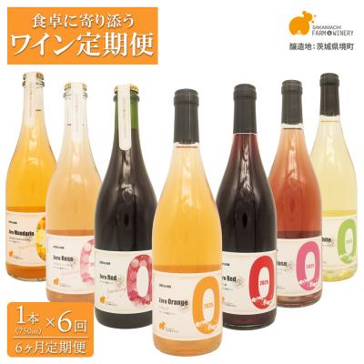 ふるさと納税 境町 【6ヶ月定期便/毎月お届け】デイリーワイン 750ml×1本 赤 白 ロゼ スパークリング ギフト