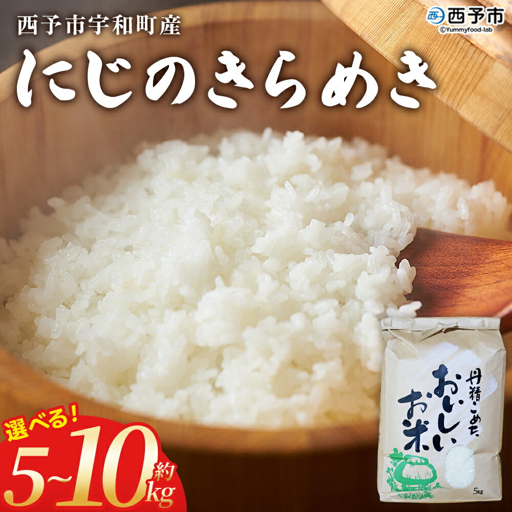 【ふるさと納税】＜にじのきらめき 約5kg/10kg＞ 選べる 5キロ 10キロ ニジノキラメキ 米 お米 コメ こめ 白米 精米 やや大粒 ご飯 ライス 穀物 特産品 愛媛県産 西予市産 宇和町産 ファームNINOMIYA 愛媛県 西予市 【常温】『2025年9月中旬から順次出荷予定』