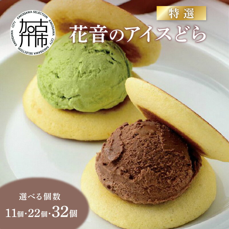 【ふるさと納税】【レビューキャンペーン】花音のアイスどら 詰合せ(特撰) 11個 22個 32個 《 アイス どら焼き 詰め合わせ チョコ イチゴ バニラ 抹茶 お土産 銘菓 お菓子 菓子 おやつ スイーツ お取り寄せ ご当地 おうち時間 》