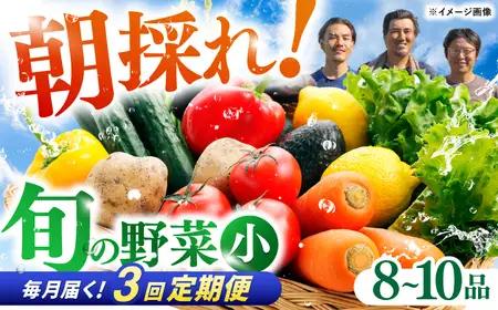 【3回定期便】 土佐の太陽をいっぱいに浴びた旬の野菜セット小 (3回配送) / 野菜 高知【土佐野菜】 [ATBA005]