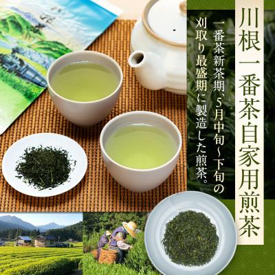 ふるさと納税 川根本町 【坂本園】静岡川根茶 自家用煎茶500g |  | 01