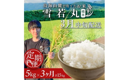 3月中旬発送開始／【3回定期便】令和7年産 ［精米］雪若丸　5kg×3回(計15kg) 農家直送 HO SF0318