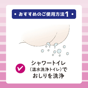定期便 年2回 6ヶ月毎のお届け エリエール シャワートイレのためにつくった吸水力が2倍のトイレットペーパー フラワープリント香水付 12ロール×6個（72ロール）×2回発送（計144ロール）