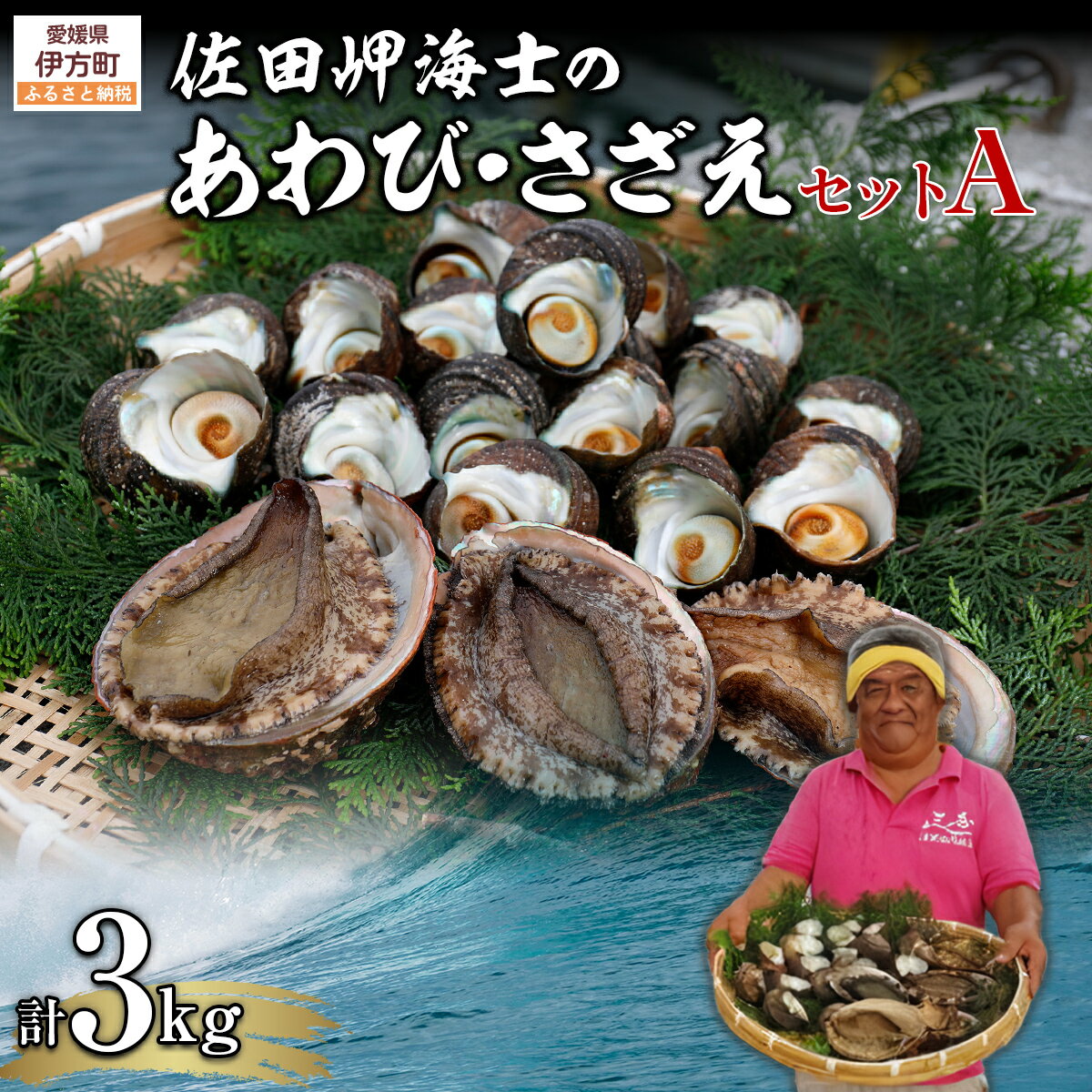 【ふるさと納税】【数量限定】佐田岬海士のあわび・さざえセットA 計3kg ※北海道・東北地方・沖縄・離島への配送不可 【 ふるさと納税 人気 おすすめ ランキング あわび 鮑 赤あわび アワビ さざえ サザエ 海鮮 セット 詰め合わせ 愛媛県 伊方町 送料無料 】 IKTJ001