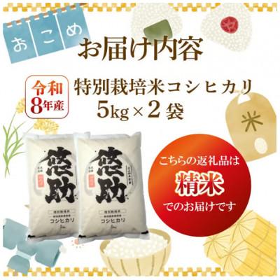 ふるさと納税 新発田市 【12月中旬頃〜発送】先行予約 令和8年産 特別栽培米コシヒカリ 精米 10kg |  | 01