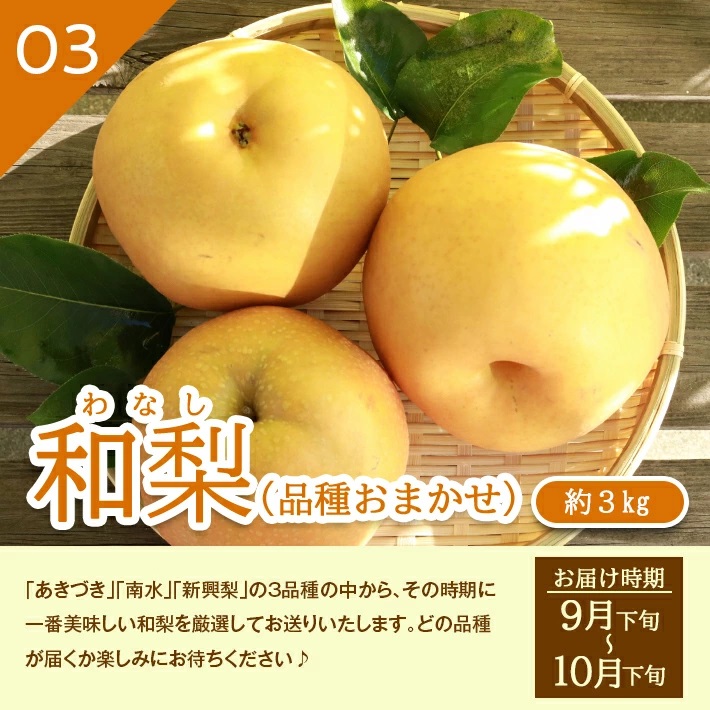 SE0348　【3回定期便】酒田産 特選 和梨3種味比べ定期便2025 (幸水梨、豊水梨、和梨〔品種おまかせ〕/各約3kg)