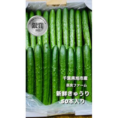 ふるさと納税 旭市 【産直】千葉県旭市産　奈良ファーム新鮮きゅうり50本　贈答にも