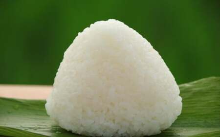 特別栽培棚田米 魚沼コシヒカリ 10kg 錦鯉デザインパッケージ 産地直送【0002-0166-01】