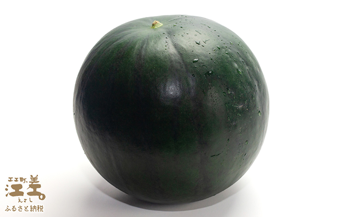 【2026年8月下旬発送開始】北海道産 黒皮 深味すいか  中玉 5.5kg以上 1玉  有機農産物（JAS認証）　高糖度　化学農薬不使用　オーガニック　有機農業　スイカ　すいか　西瓜　 高級西瓜　黒