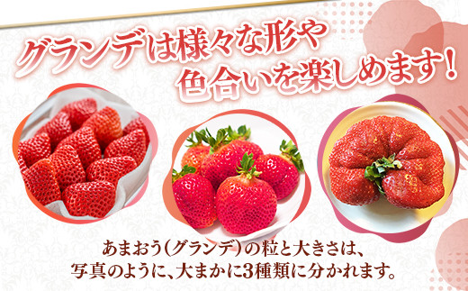 <先行予約受付中!2025年12月中に発送予定>福岡県産 あまおう(計約1kg・250g×4P)いちご 苺 フルーツ 果物 くだもの 冷蔵 <離島配送不可>【ksg1488】【エフビーネット】