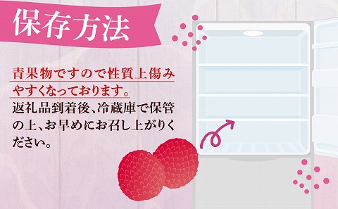 《2026年発送先行予約》【数量・期間限定】宮崎完熟ライチ化粧箱PREMIUMギフト 南国 濃厚 甘い