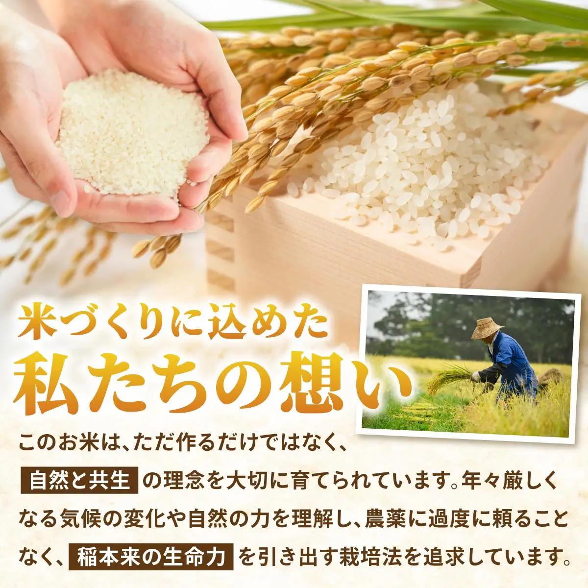  【令和7年度産】藤の米(ふじのまい) 4kg(2kgx2)【フジノ農園】