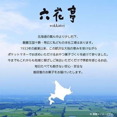 【毎月定期便】六花亭セレクション ( 六花撰 ザ・マルセイ )全2回【配送不可地域：離島】【4060105】