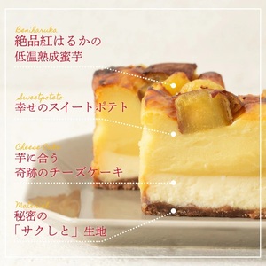 九州産紅はるかの焼き芋を使ったプレミアム蜜芋スイートポテトチーズケーキ　6回定期便_定期便 九州産 紅はるか 焼き芋 使用 プレミアム 蜜芋 スイートポテト チーズケーキ 1本 約 480g 回数 6