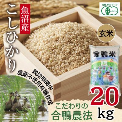 ふるさと納税 十日町市 【玄米】魚沼産 コシヒカリ 20kg 栽培期間中農薬不使用 あいがも農法 有機栽培米 新潟県十日町市