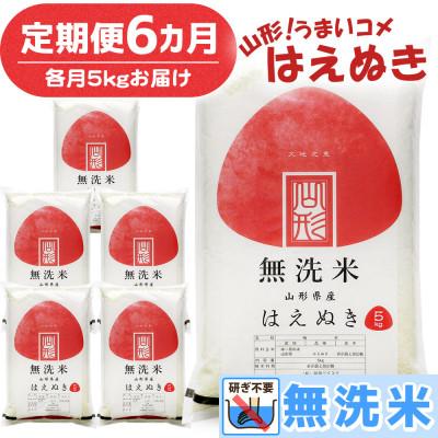 ふるさと納税 鶴岡市 【毎月定期便】山形県産 はえぬき 無洗米 5kg全6回
