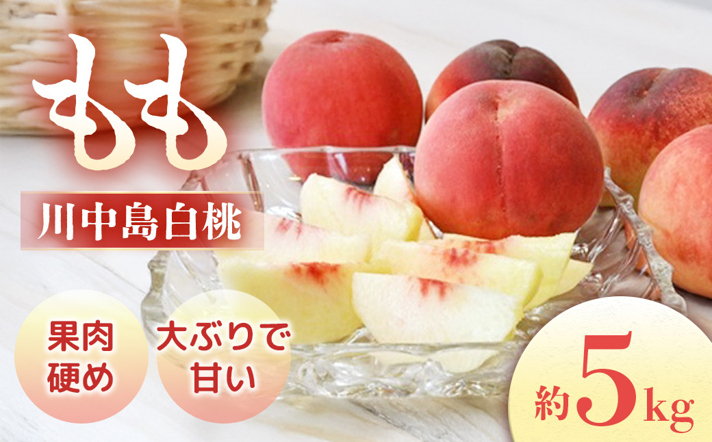 
            【2026年発送先行予約】桃　川中島白桃　約5kg【10～18玉】※2026年8月上旬～8月中旬発送予定※
          