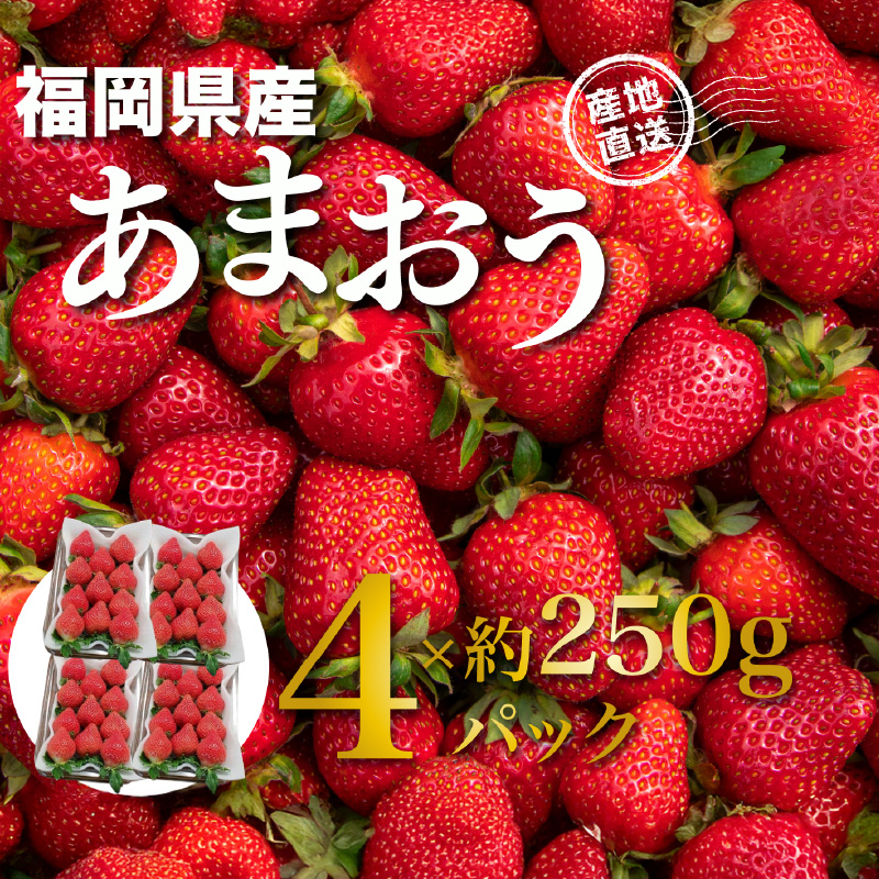 福岡県産あまおう 約250g×4パック【2027年3月発送予定】 いちご イチゴ 苺 あまおう フルーツ 果物 くだもの 250g 4パック 福岡県 八女市