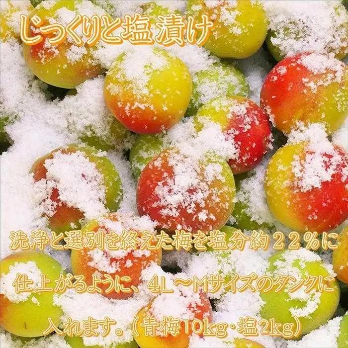 梅干し【農林水産大臣賞受賞】はちみつ梅1.5kg　塩分約8％ 梅干し 印南町【MN2】