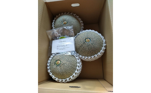 958.タカミメロン　中玉3～4玉入り　4kg前後　1箱　※2025年7月上旬～中旬　※北海道・沖縄・離島への配送不可