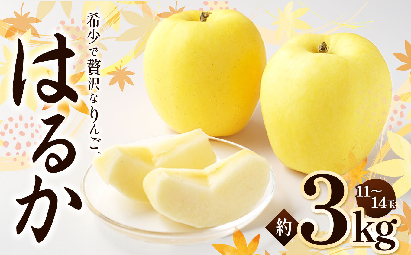 
            【2025年先行予約】浅野農園 はるか 3kg ｜ リンゴ りんご 林檎 果物 くだもの フルーツ 果実 果汁 はるか 長野県 松川村 信州 北アルプス
          
