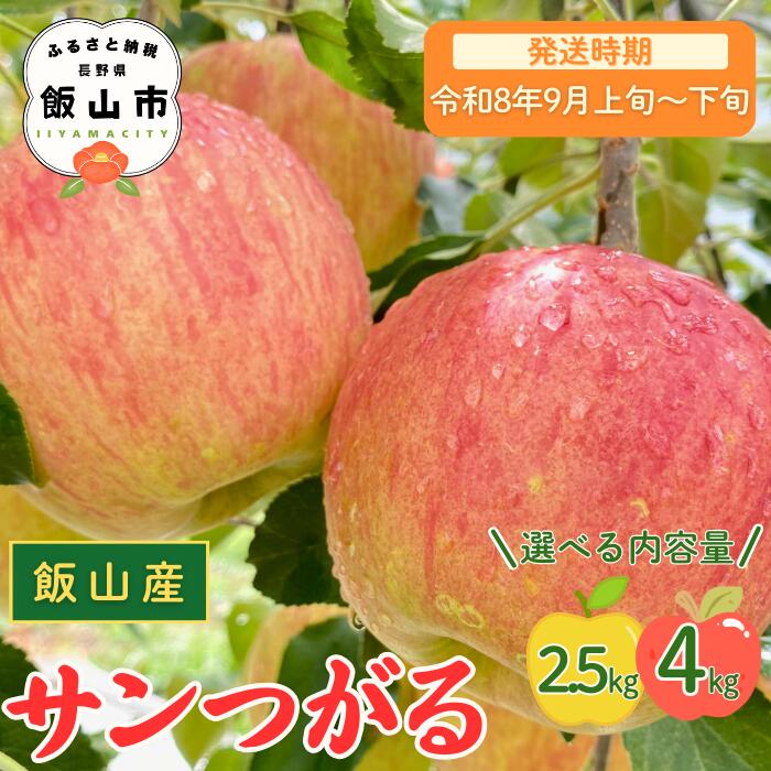【ふるさと納税】2026年 先行予約 ＼ サンつがる／ 選べる 2.5kg / 4kg 長野県産 ＜出荷開始：2026年9月上旬〜 【 りんご リンゴ 林檎 フルーツ 果物 信州 津軽 つがる ツガル 産地直送 新鮮 オススメ 美味しい 長野県 飯山市 】（7-A19）
