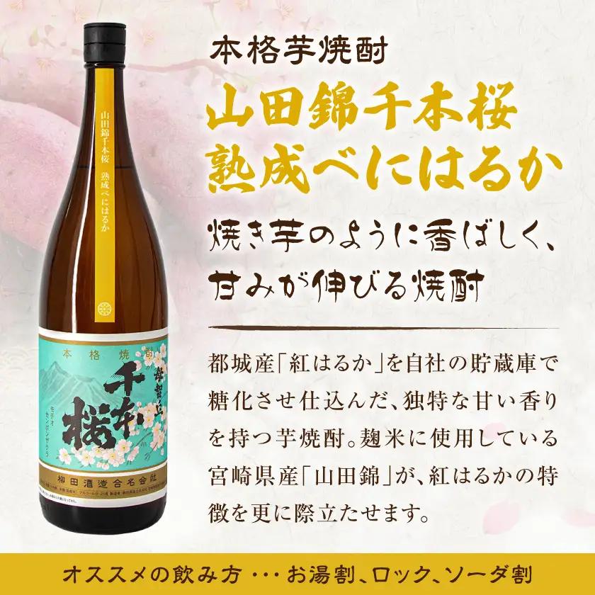 【柳田酒造】山田錦千本桜 熟成べにはるか(25度)1.8L×2本 ≪みやこんじょ特急便≫〔AC-0750_99〕_(都城市) 本格芋焼酎 熟成 お湯割 ロック ソーダ割 伝統製法 老舗 家飲み 宅飲み