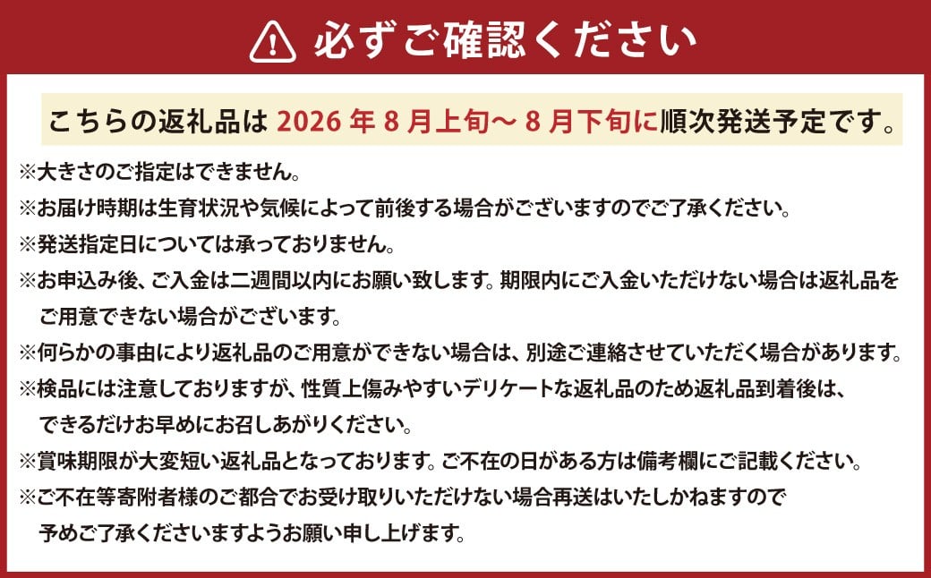 とうもろこし ホワイト 約5kg