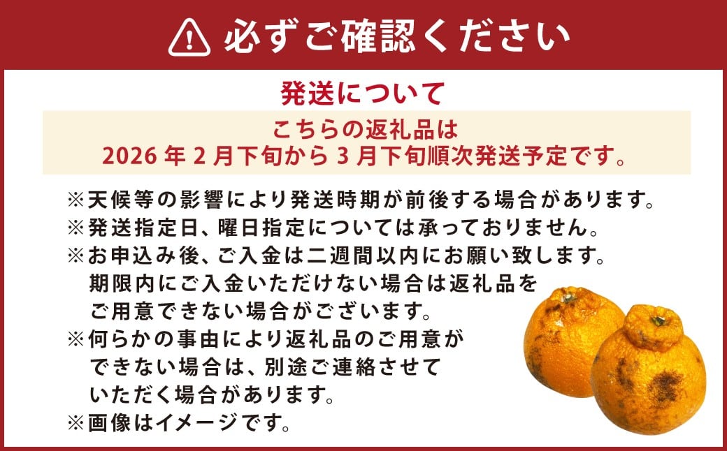 【訳あり】不知火 約5kg